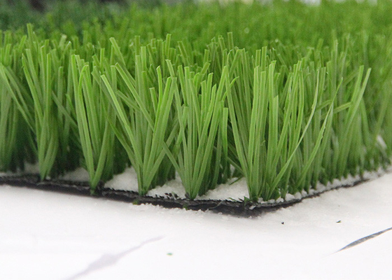 CHINA El monofilamento PE cuenta un cuento al fabricante artificial verde For Sports, césped artificial de la hierba del campo de fútbol proveedor