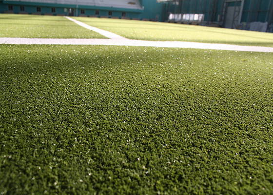 CHINA El hockey rizado del suelo del deporte coloreó la hierba de alfombra artificial de la falsificación del césped proveedor